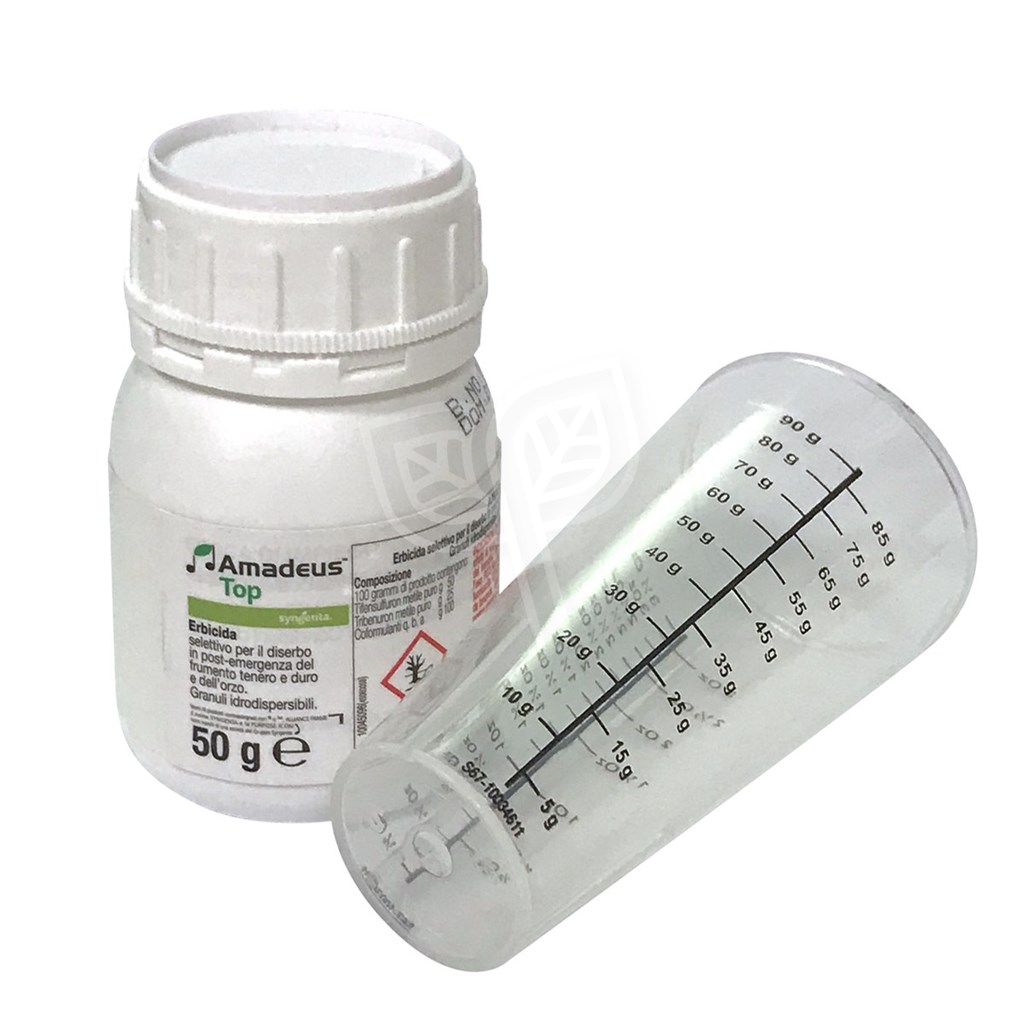 AMADEUS TOP SYNGENTA - GR 50